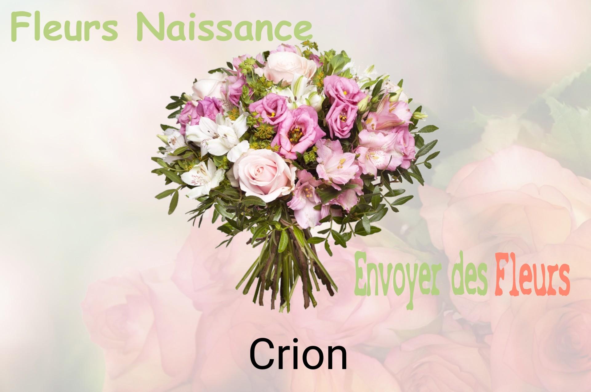 Bouquet de fleurs de naissance livré à Crion